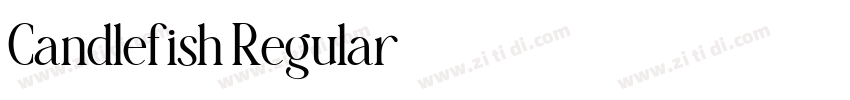 Candlefish Regular字体转换 Candlefish Regular字体转换